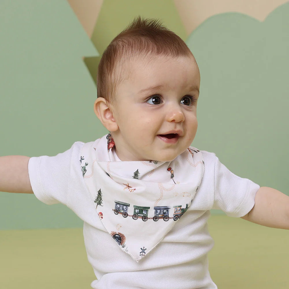 Trains Organic Dribble Bib