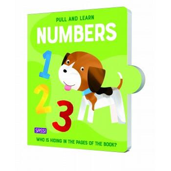 Pull & Play Book Numbers - Aster & Ruby